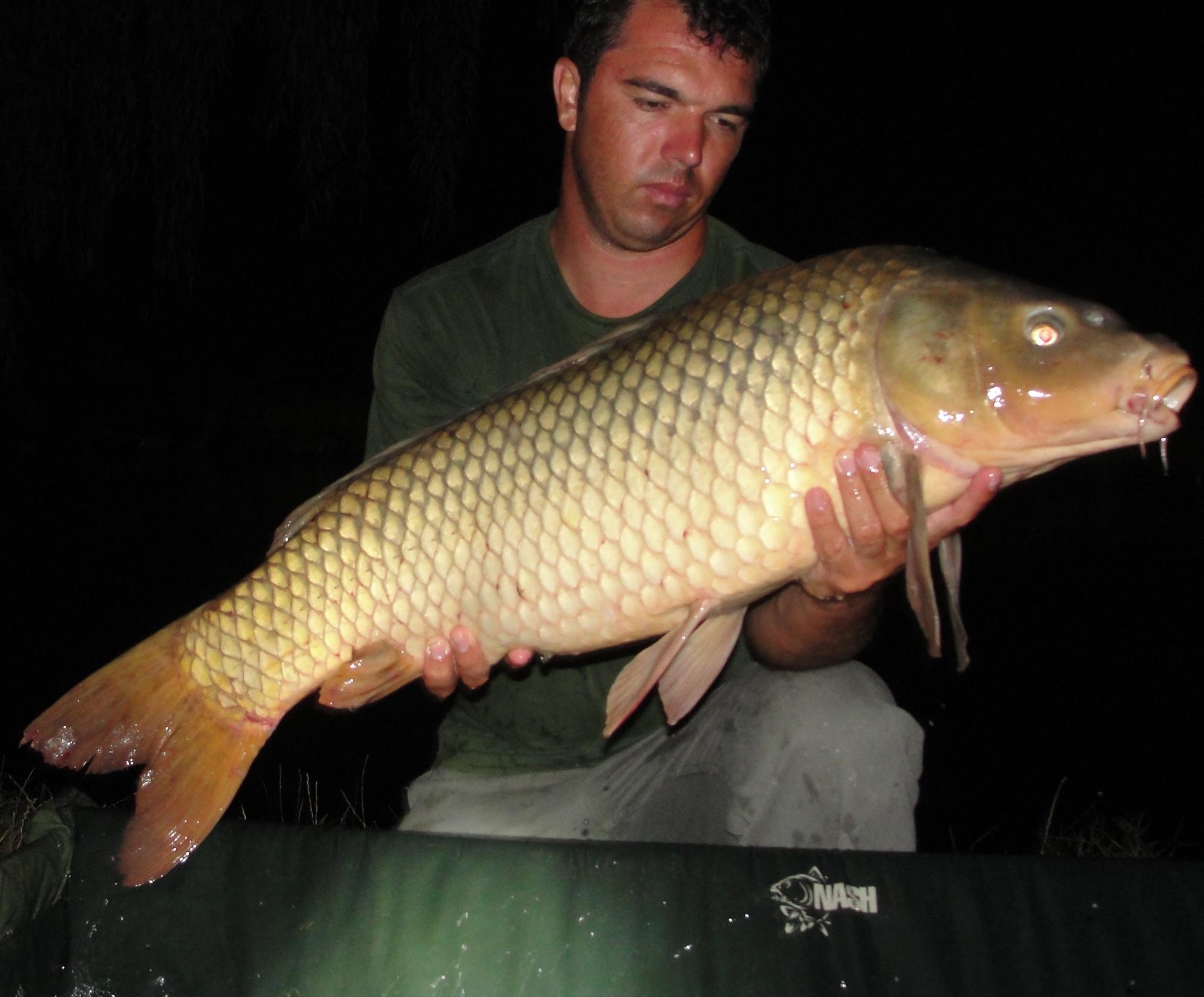 Moara Vlasiei 2 12 - 14 aug. - dsc01411.JPG